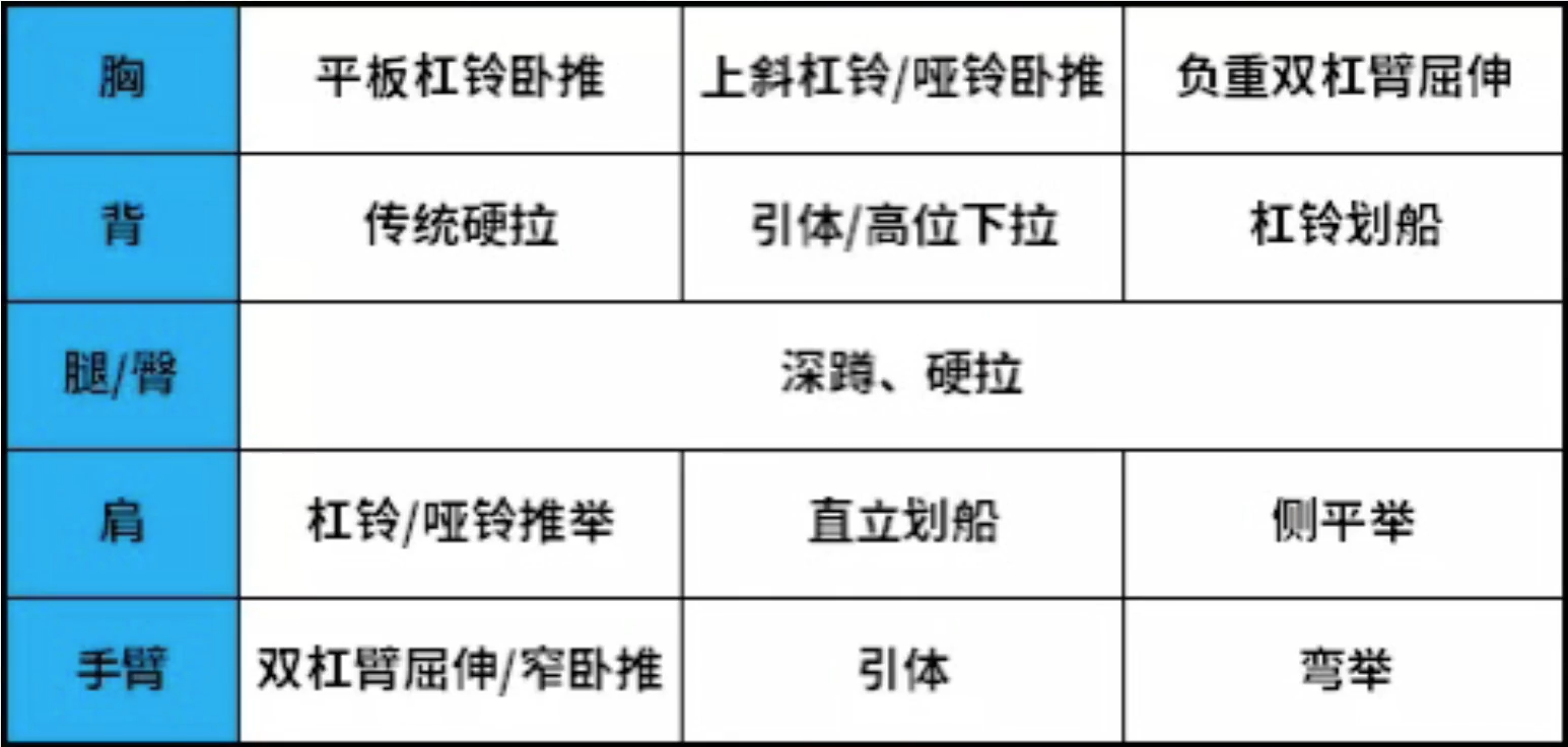 动作按肌群分类简化版