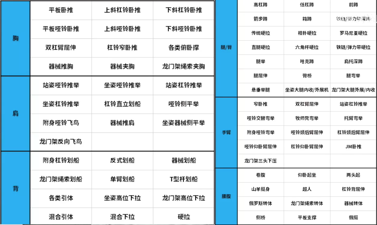 动作按肌群分类